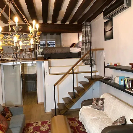 Duplex Saint Germain Odeon * 巴黎